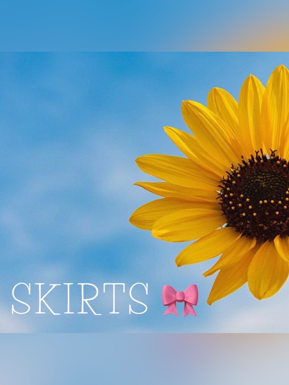 Skirts in Kimmee’s Closet
